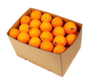 orange navel box freshleaf uae