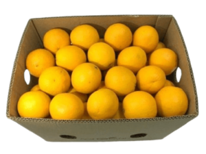 orange valencia box freshleaf uae