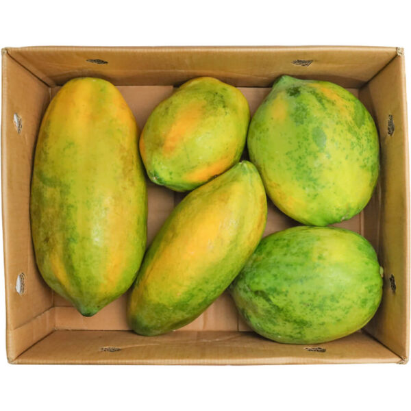 papaya ripe box srilanka freshleaf dubai uae