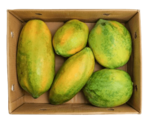 papaya ripe sri lanka box freshleaf uae