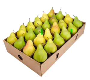 pears rosemary box south africa freshleaf uae