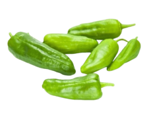 pimiento padron chilli spain freshleaf uae