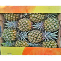 pineapple baby box southafrica freshleaf dubai uae