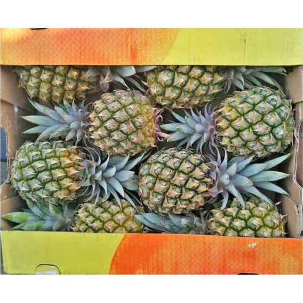 pineapple baby box southafrica freshleaf dubai uae