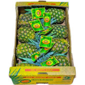 pineapple box philippines freshleaf dubai uae