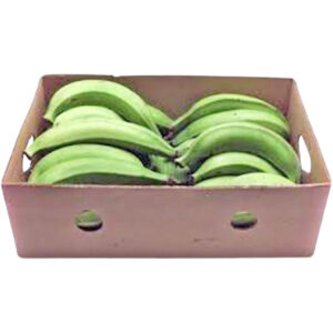 plantain banana raw box india freshleaf dubai uae