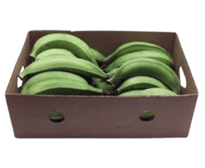 plantain banana raw box india freshleaf uae