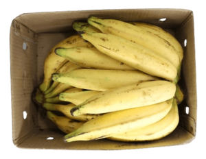 plantain banana ripe india box freshleaf uae