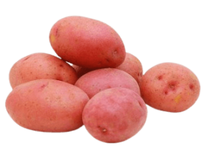 potato red holland freshleaf uae