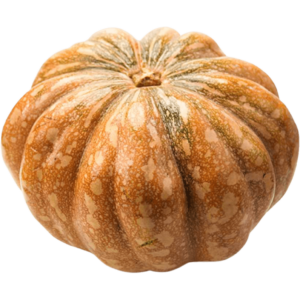 pumpkins freshleaf dubai uae