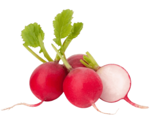 radish red organic freshleaf uae