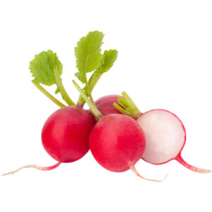 radish red organic india freshleaf dubai uae