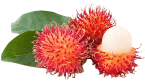 rambutan vietnam freshleaf uae