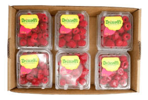 raspberry box dubai freshleaf uae