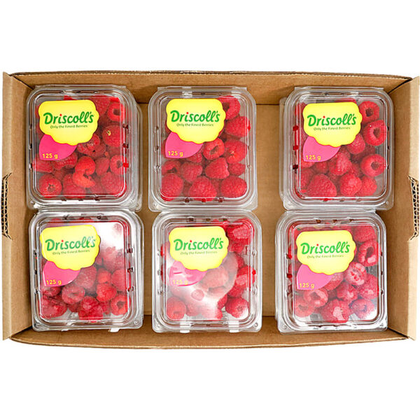 raspberry box morocco freshleaf dubai uae