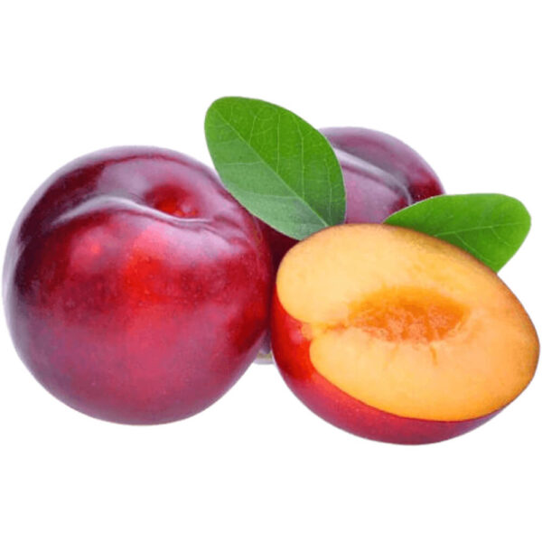 red plum freshleaf dubai uae