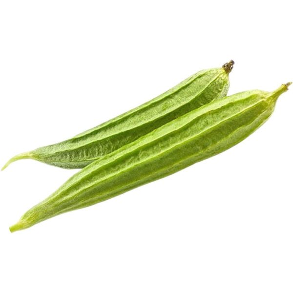 ridge gourd india freshleaf dubaiuae