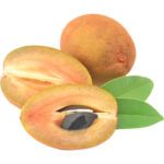 sapodilla chikoo thailand freshleaf dubai uae