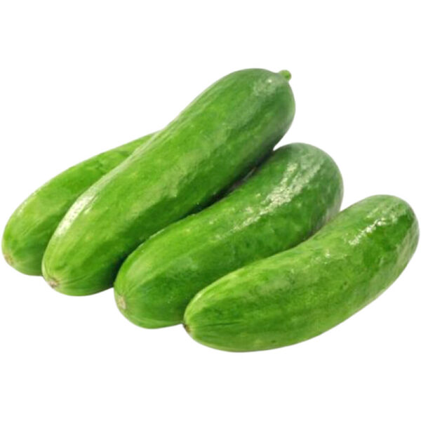 snack cucumber organic freshleaf dubai uae