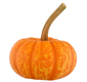 sparkler pumpkin halloween freshleaf uae