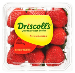 strawberry premium driscolls freshleaf uae