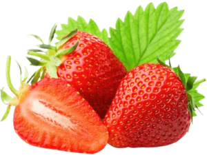 strawberry south africa freshleaf uae