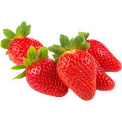 strawberry southafrica freshleaf dubai uae