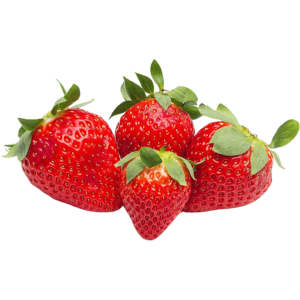 strawberry spain dubai freshleaf uae