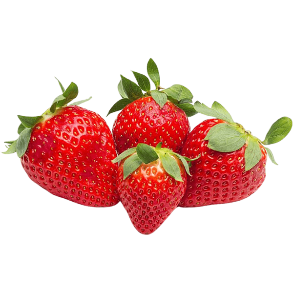 strawberry spain dubai freshleaf uae