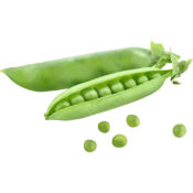 sugar snap peas kenya freshleaf dubai uae