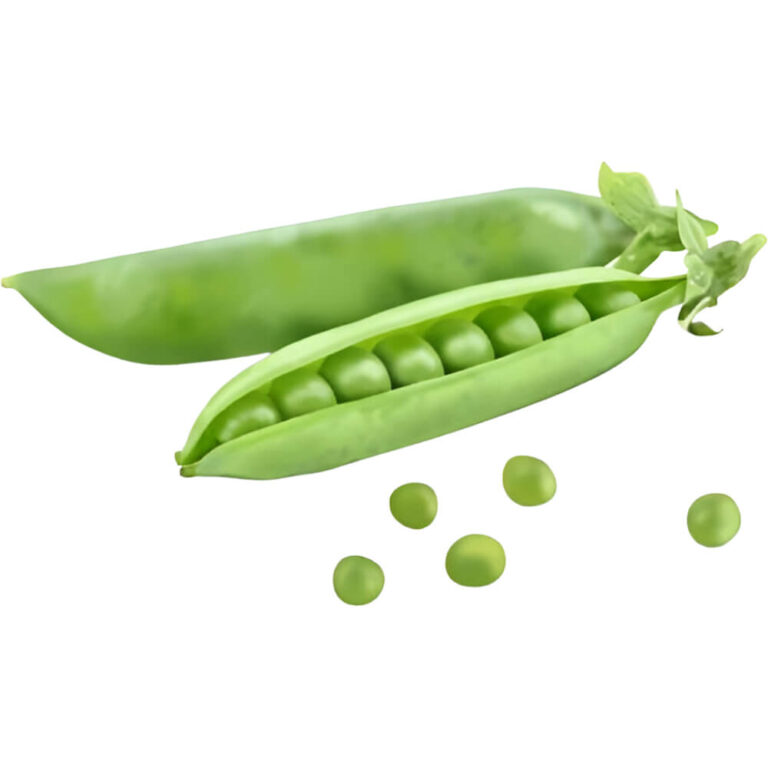 sugar snap peas kenya freshleaf dubai uae