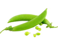 sugar snaps dubai freshleaf uae