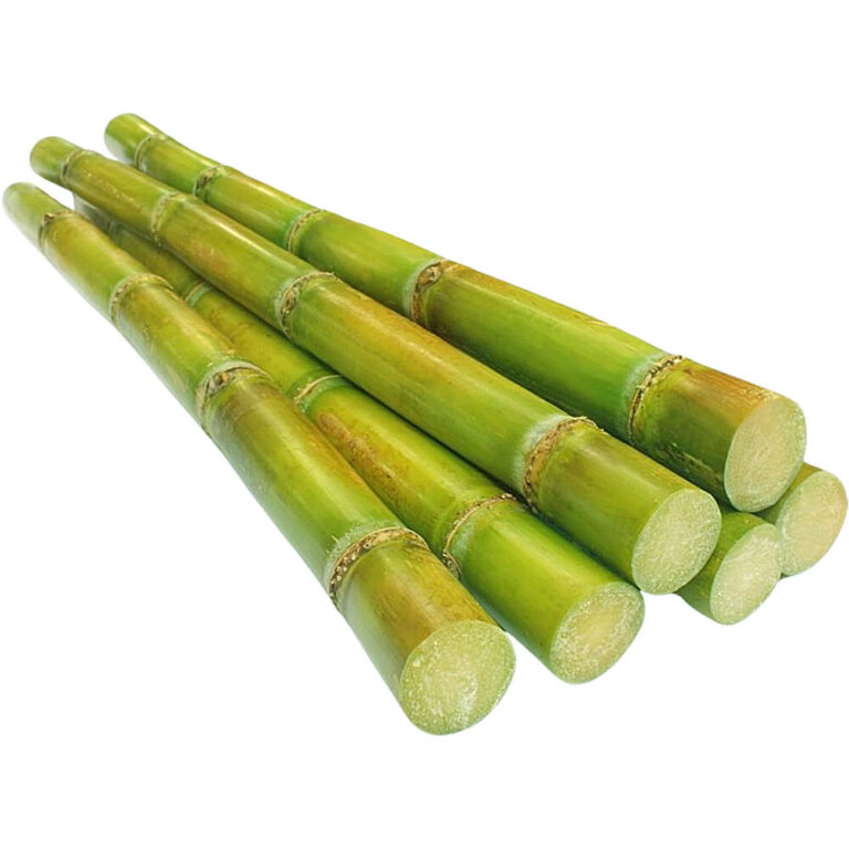 sugarcane egypt freshleaf dubai uae