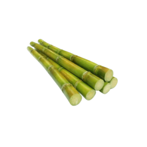 sugarcane removebg freshleaf uae