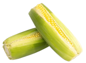 sweet corn organic freshleaf uae