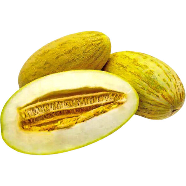 sweet melon mashadi iran freshleaf dubai uae