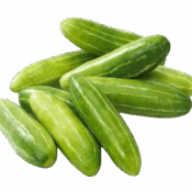 tindly india freshleaf uae