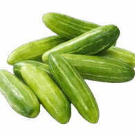 tindly india freshleaf uae