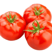 tomato beef holland freshleaf uae
