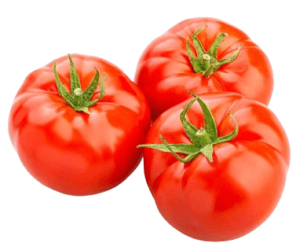 tomato beef holland freshleaf uae