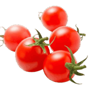 tomato cherry organic freshleaf uae