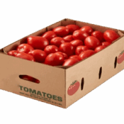 tomato plum holland box freshleaf uae
