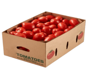 tomato plum holland box freshleaf uae