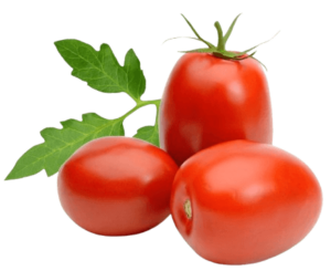 tomato plum roma holland freshleaf uae