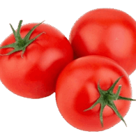 tomato sanitized freshlleaf uae