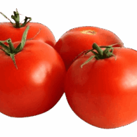 tomato selected big freshleaf uae