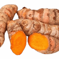 turmeric freshleaf uae