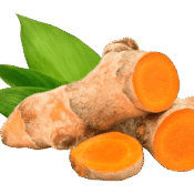 turmeric organic freshleaf uae