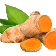 turmeric organic freshleaf uae