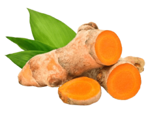 turmeric organic freshleaf uae